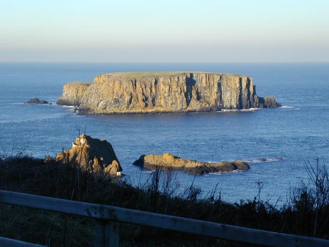 Sheep Island