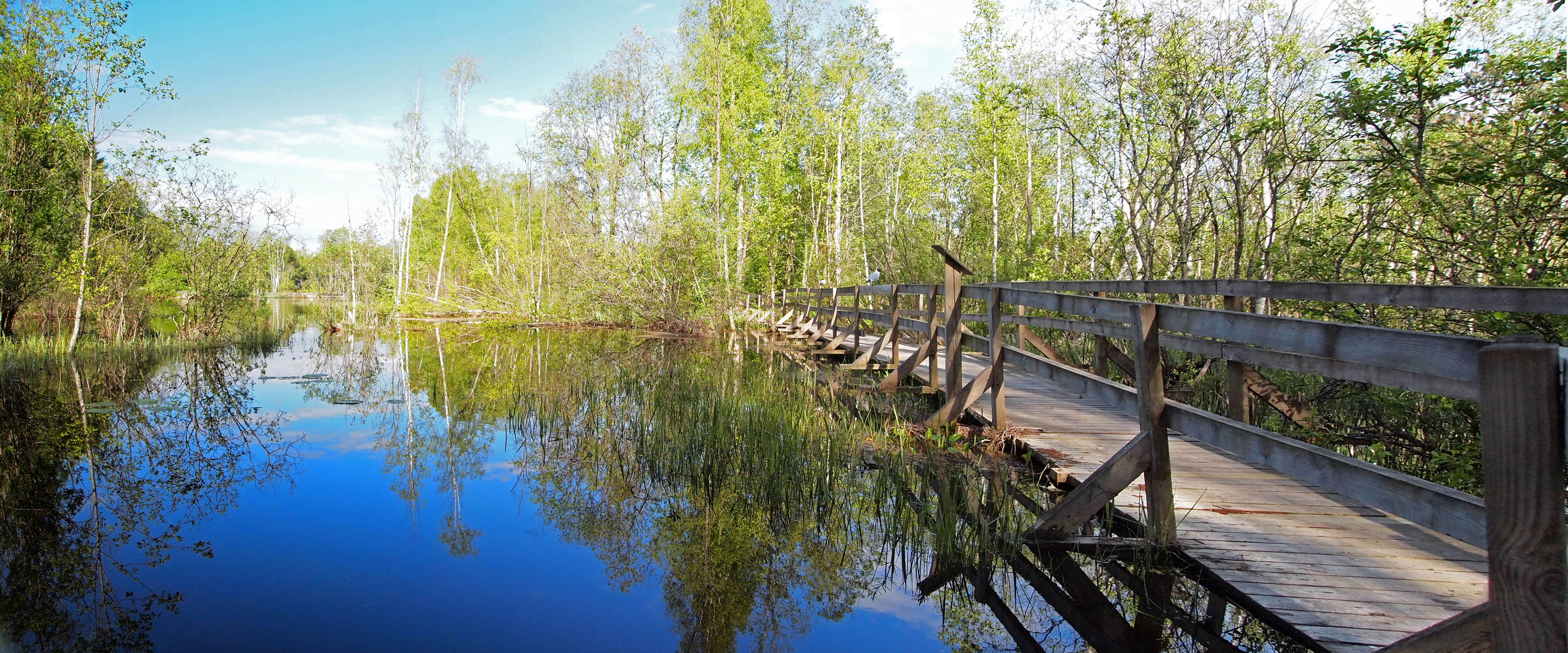 Muurame, Finland