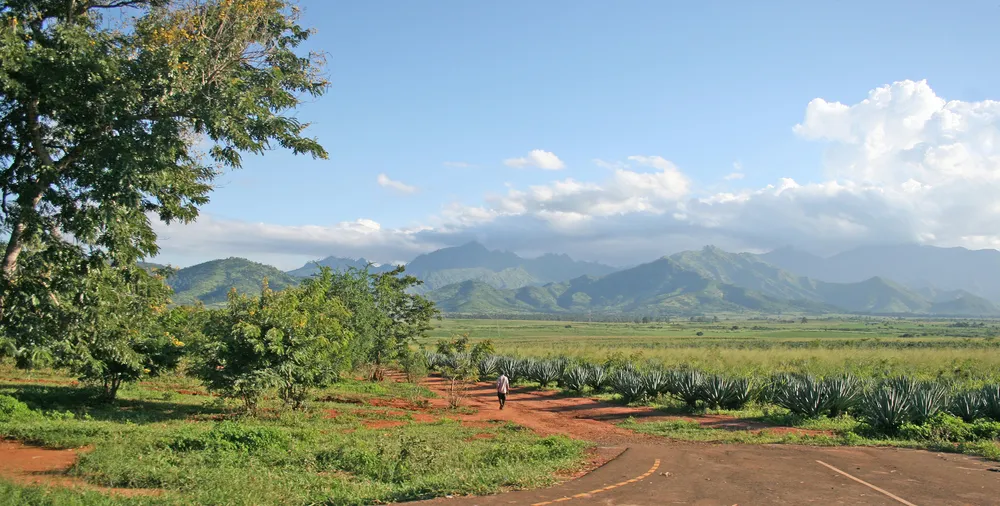 Tanzania Bus Crash and Fire Kills at Least 28 in Morogoro Region