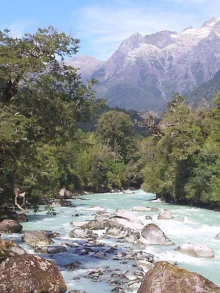 Hornopirén National Park