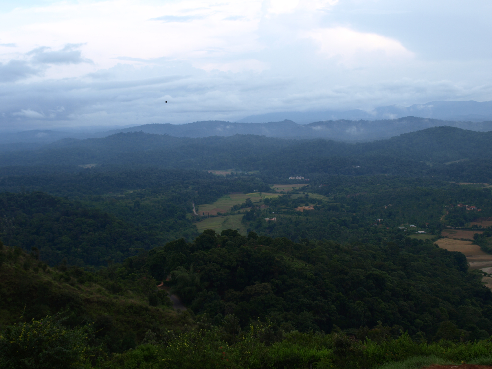 Kodagu district, India