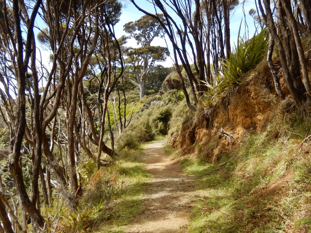 Rakiura Track
