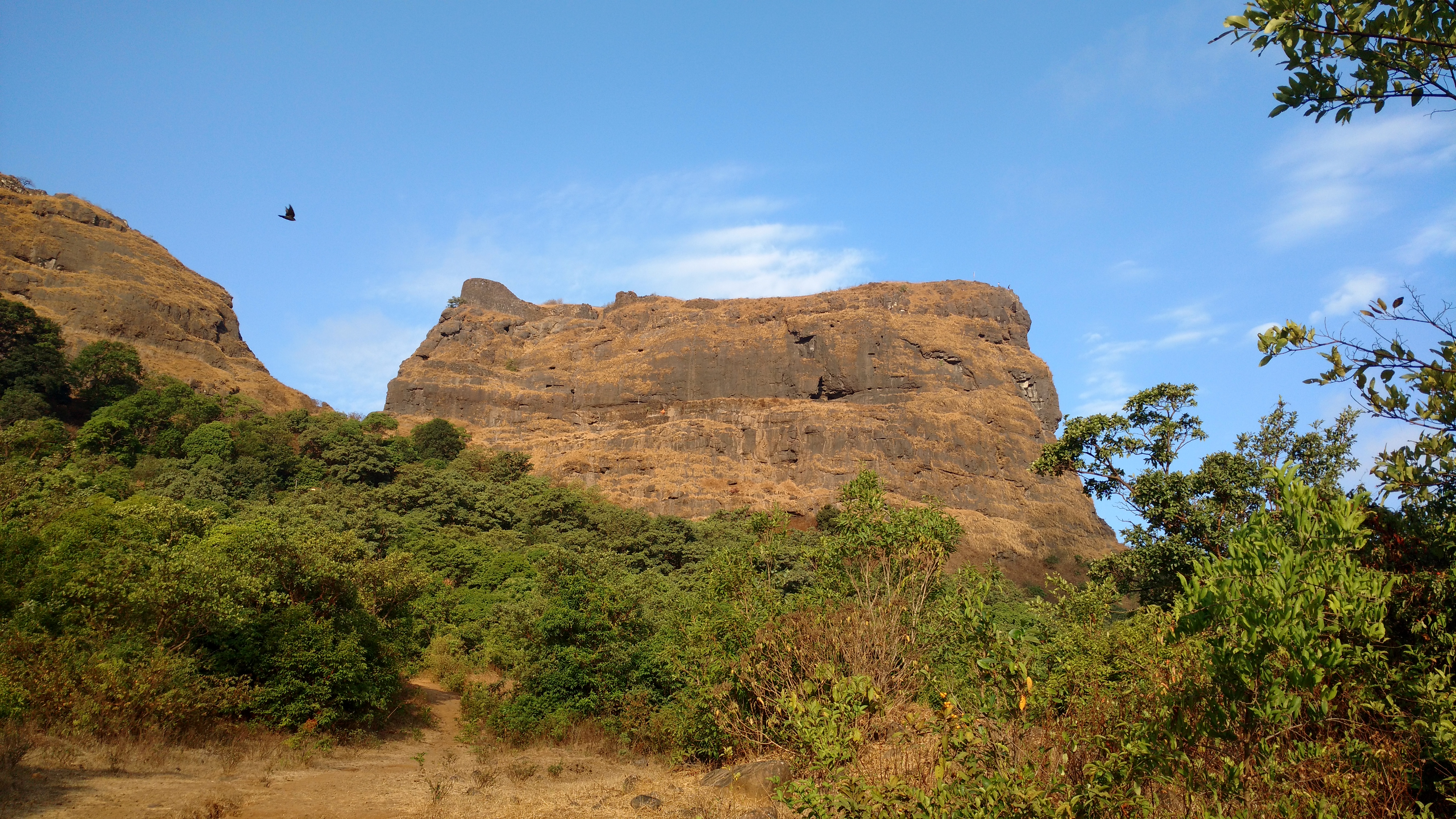Ghangad