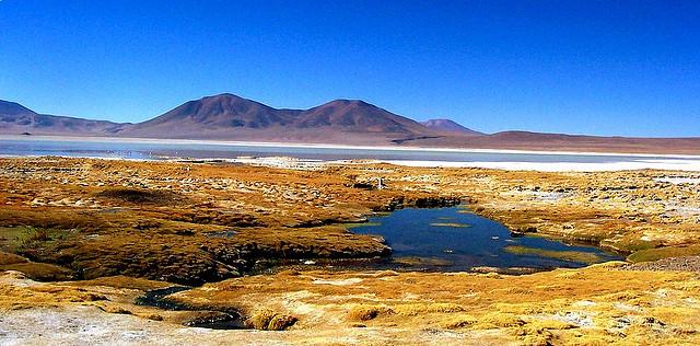 Salar del Huasco National Park
