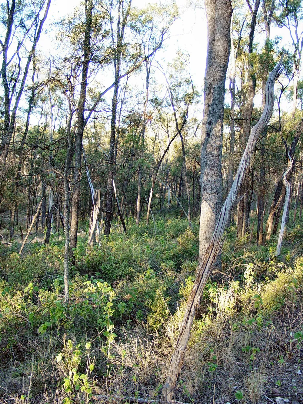 Tregole National Park