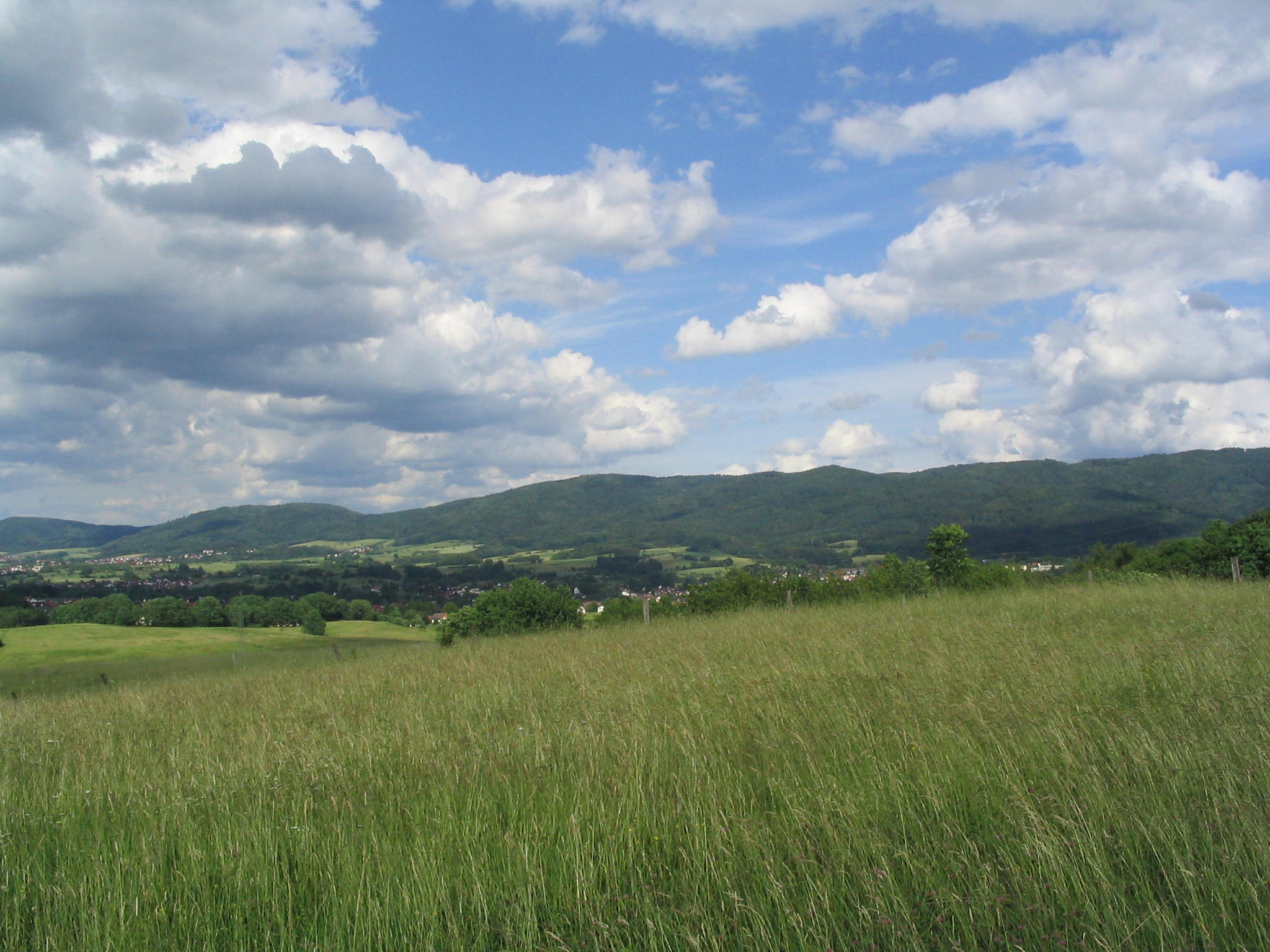 Wagenberg