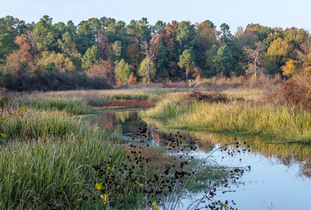 Arkansas Timberlands, United States