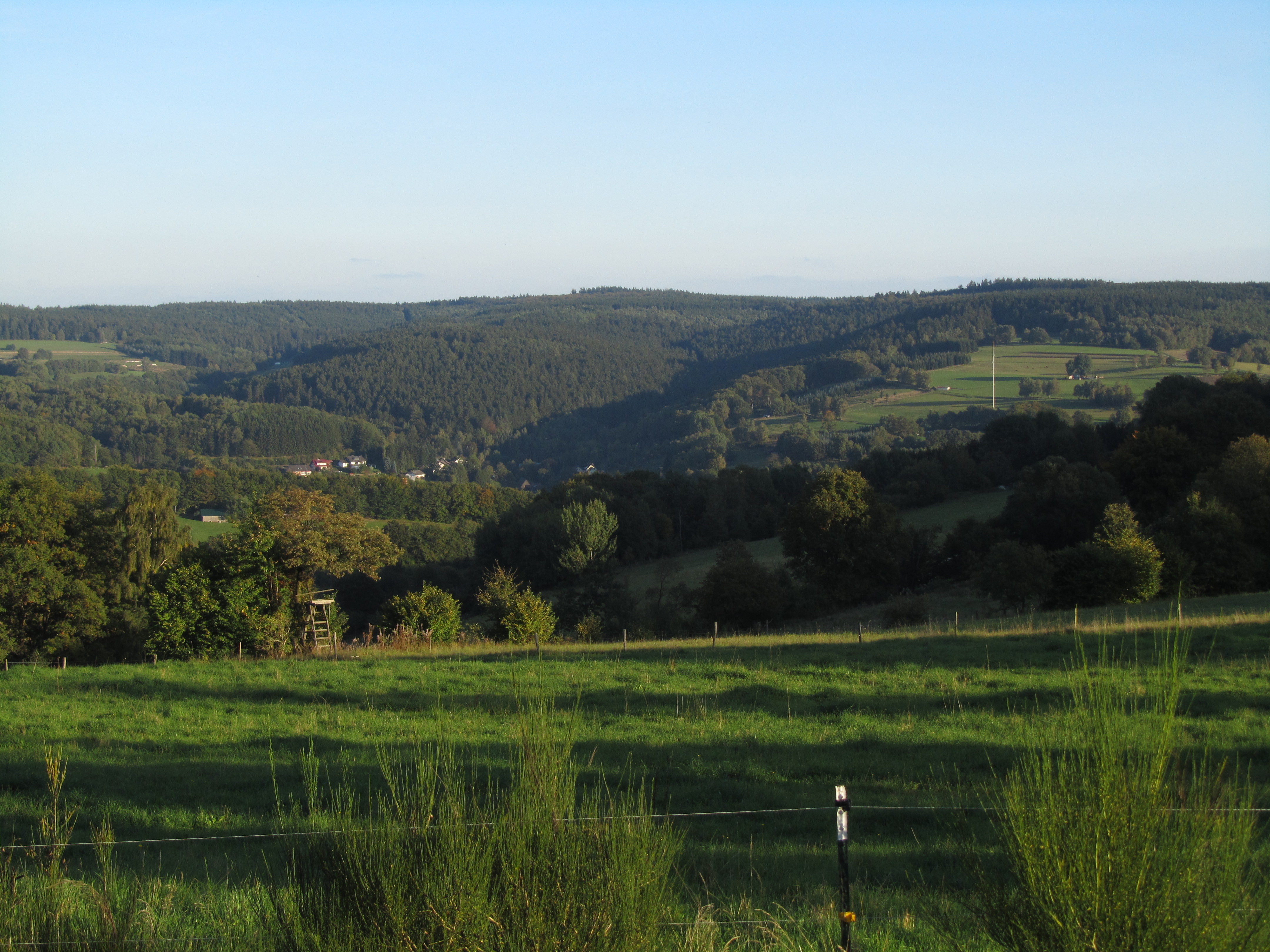 Hermannskoppe