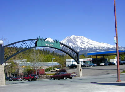 Weed, United States