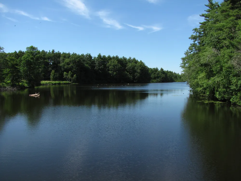 Leonards Pond