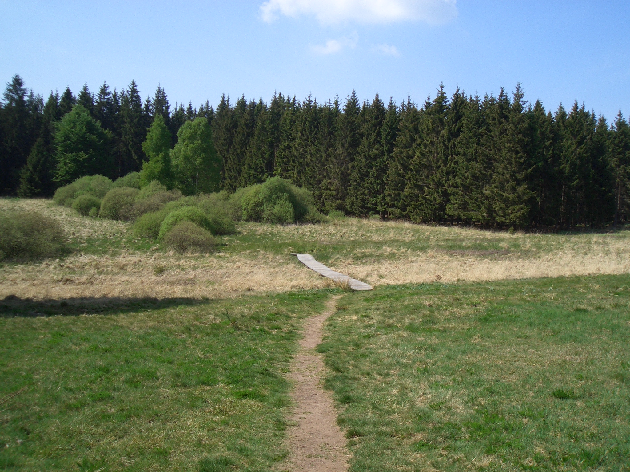 Weißer Stein