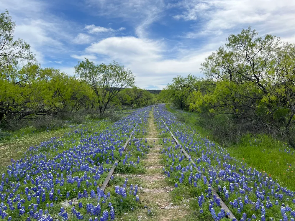 Nederland, United States