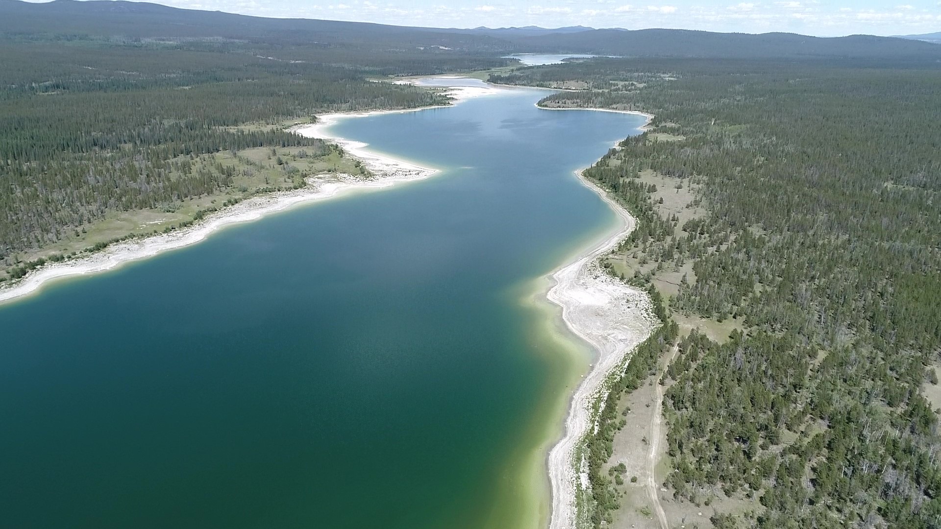 Martin Lake