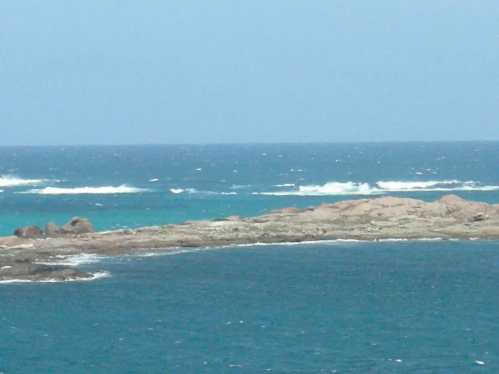 Seal Island (Augusta, Western Australia)