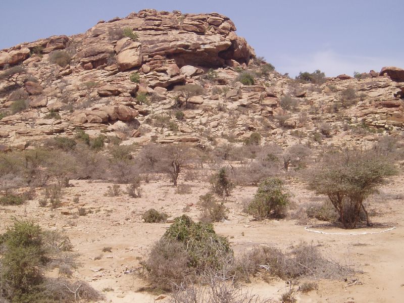 Maroodi Jeeh, Somalia