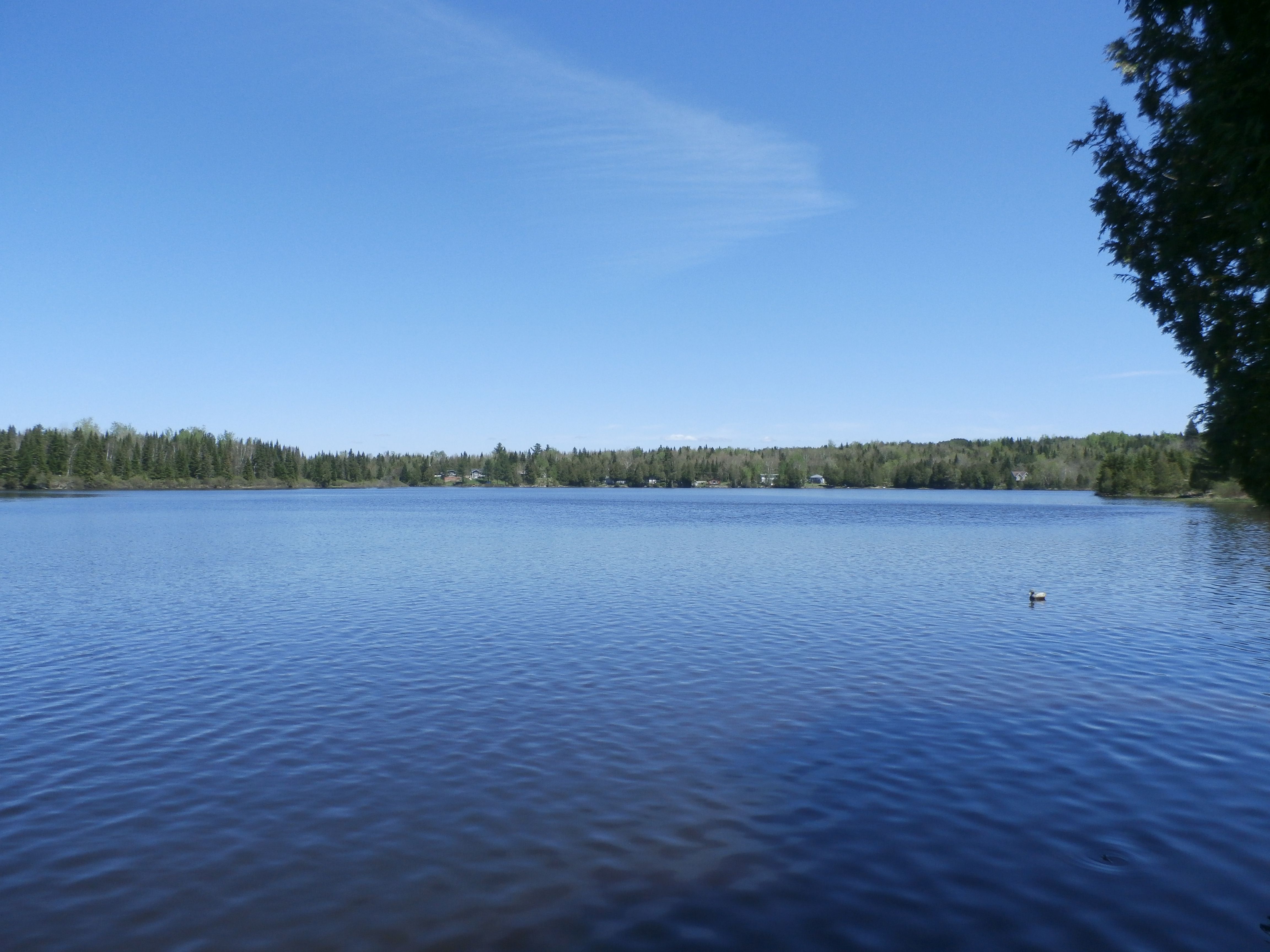 Lac de l'Orignal