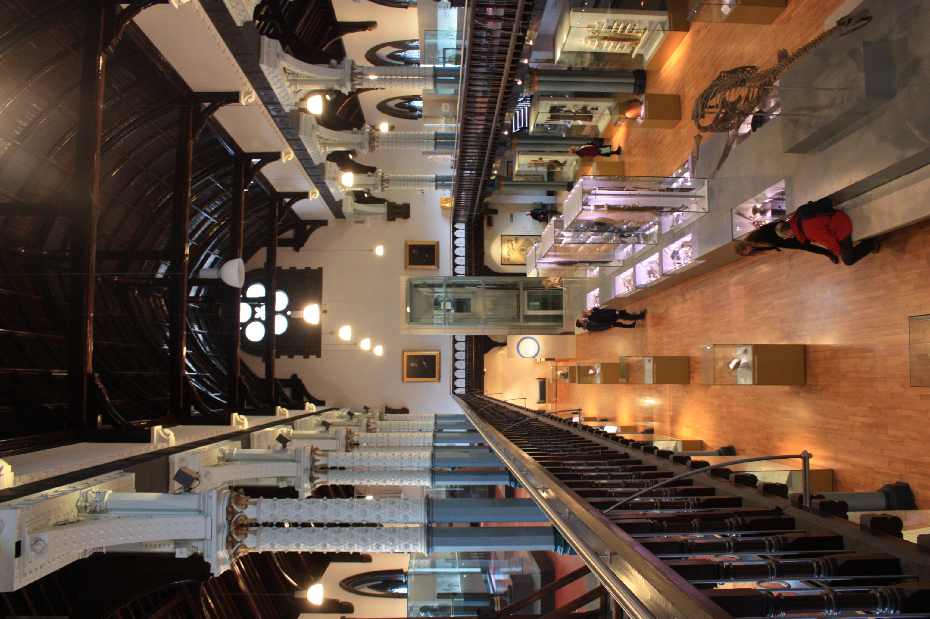Hunterian Museum and Art Gallery