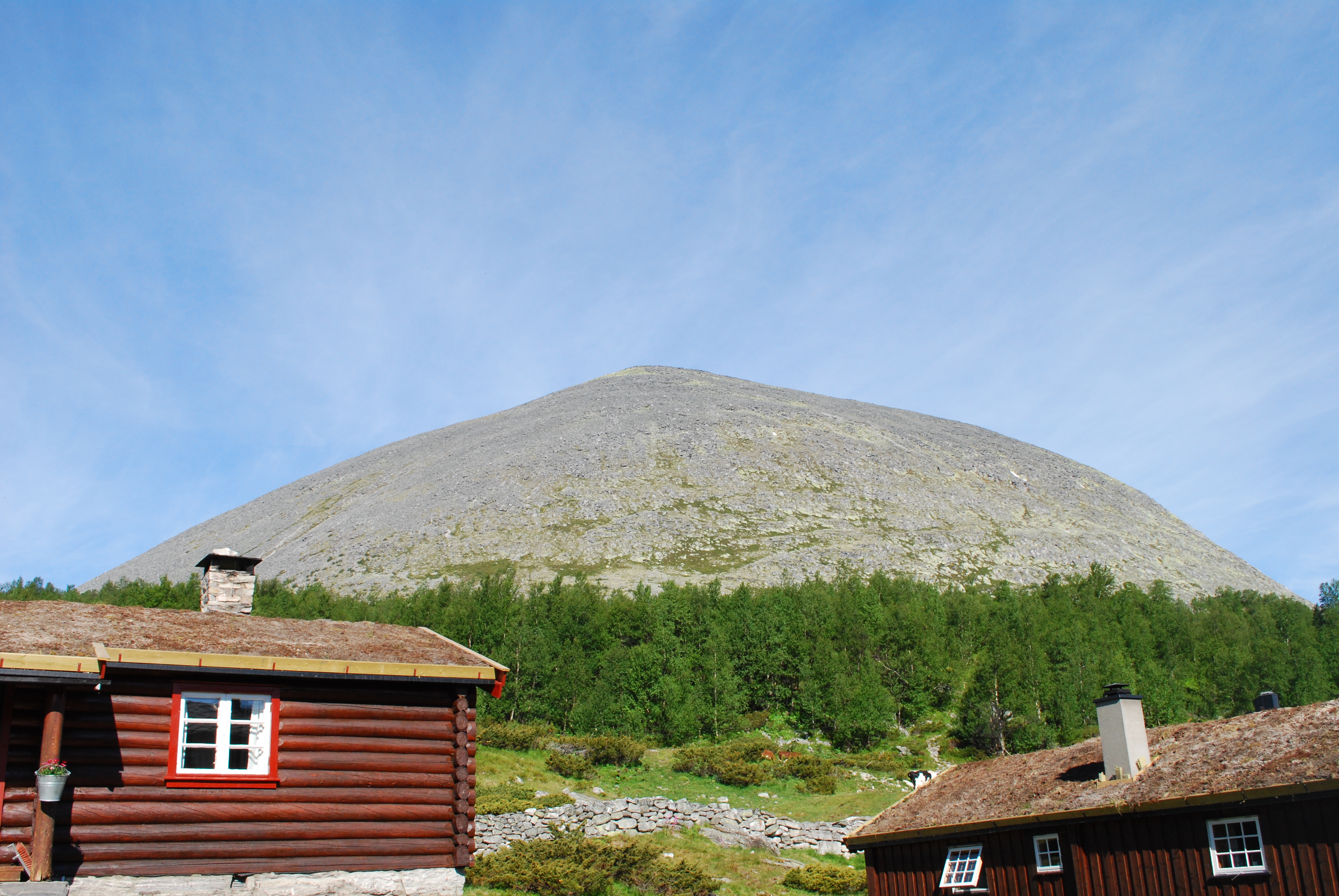 Veslsvulten