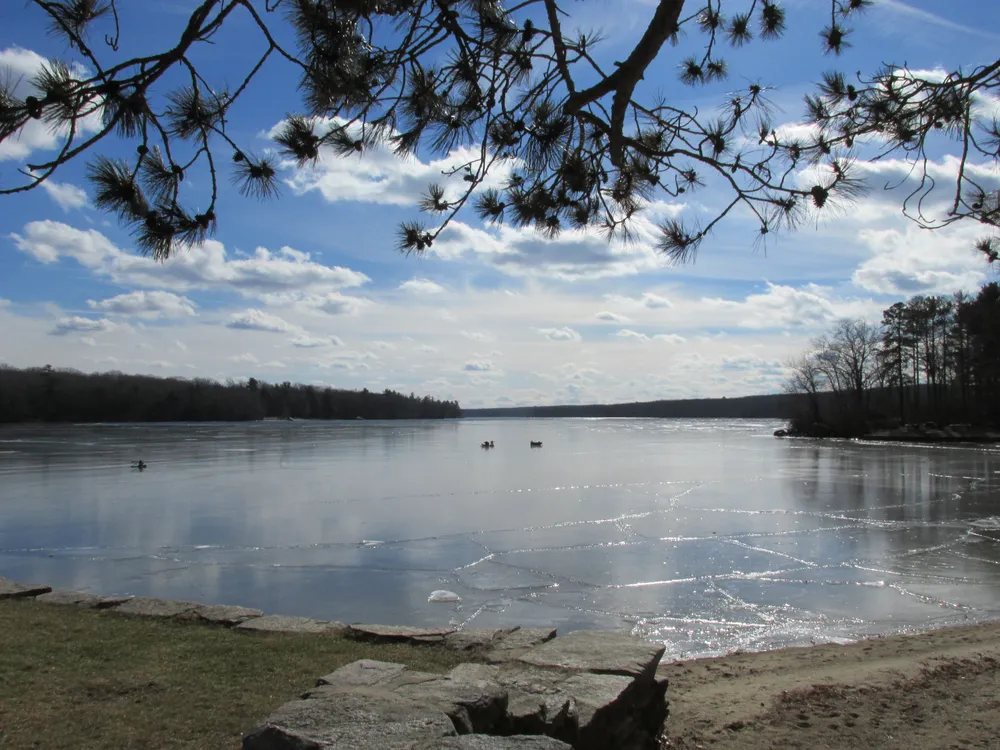 Wallum Lake