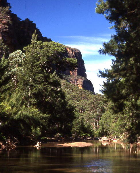 Wollemi National Park