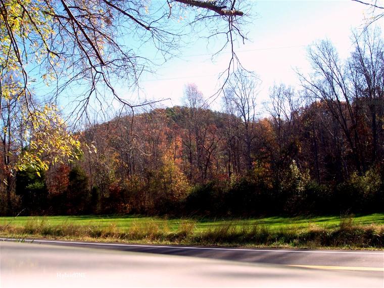 Little Mountain