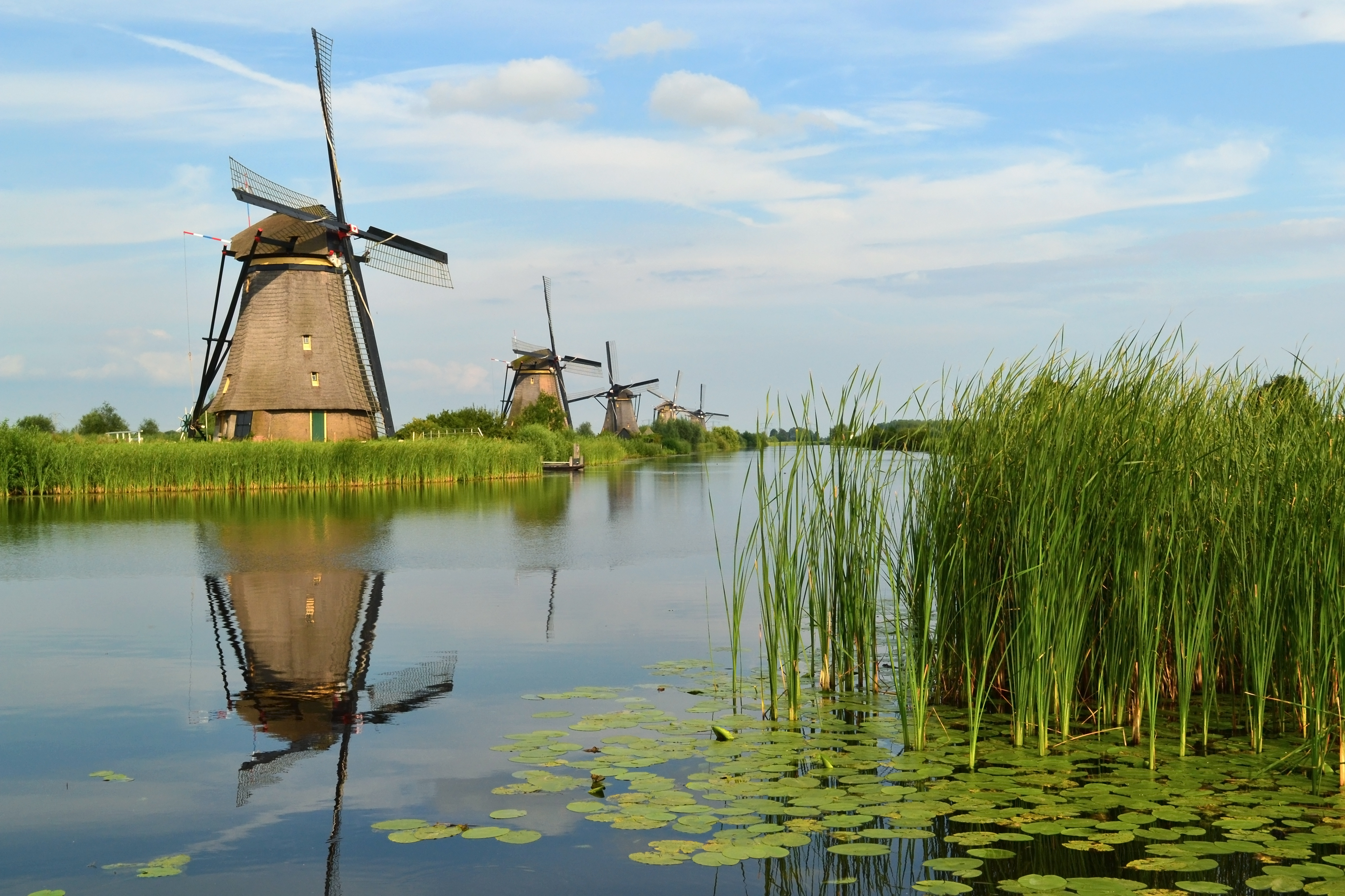South Holland, Netherlands
