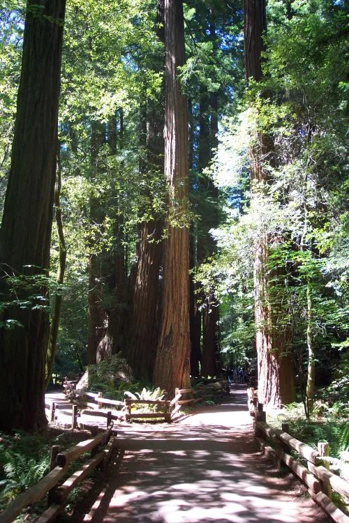 Mill Valley, United States