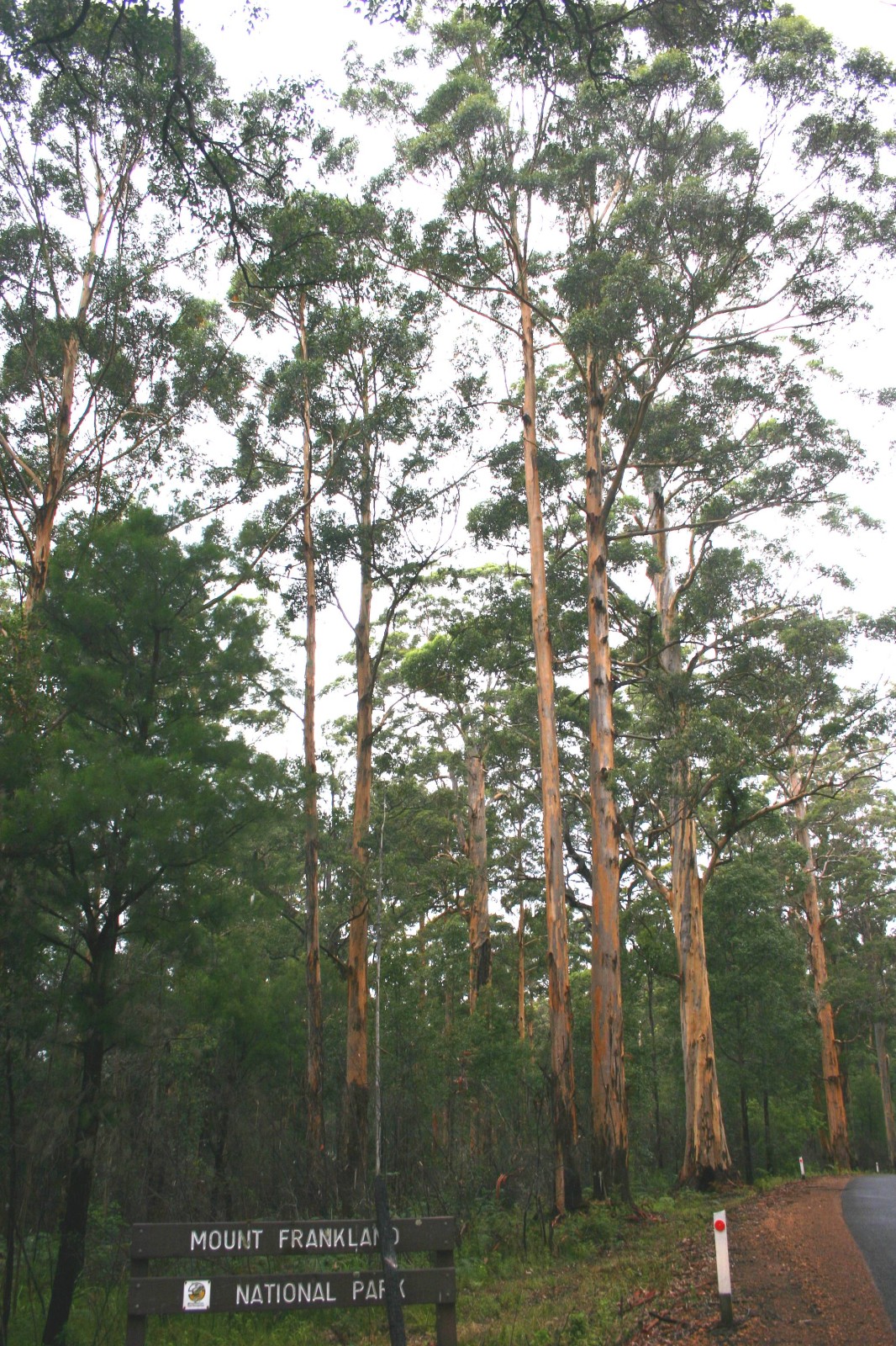 Mount Frankland National Park