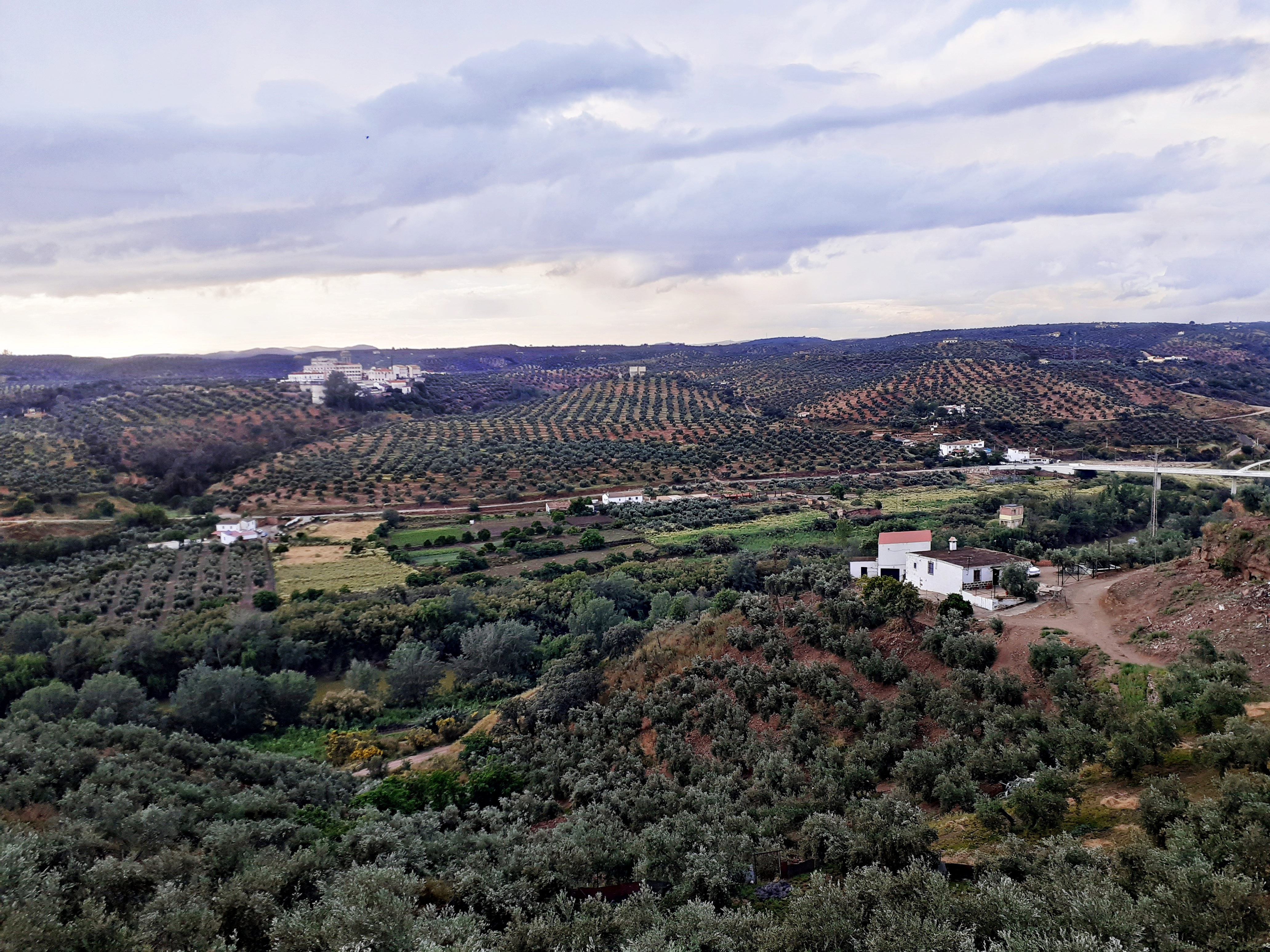 Culturally significant landscape in Montoro