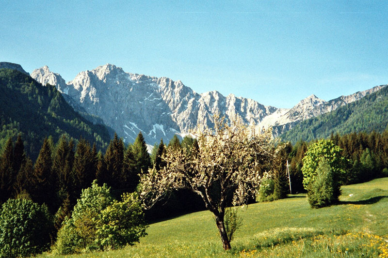 Vrtača