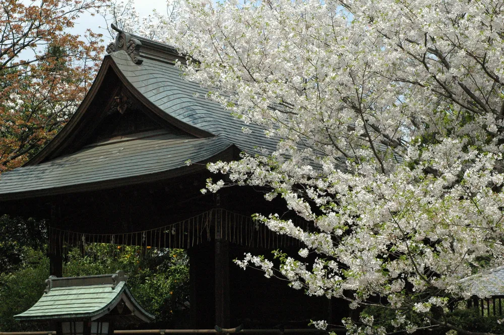 Ueno, Japan