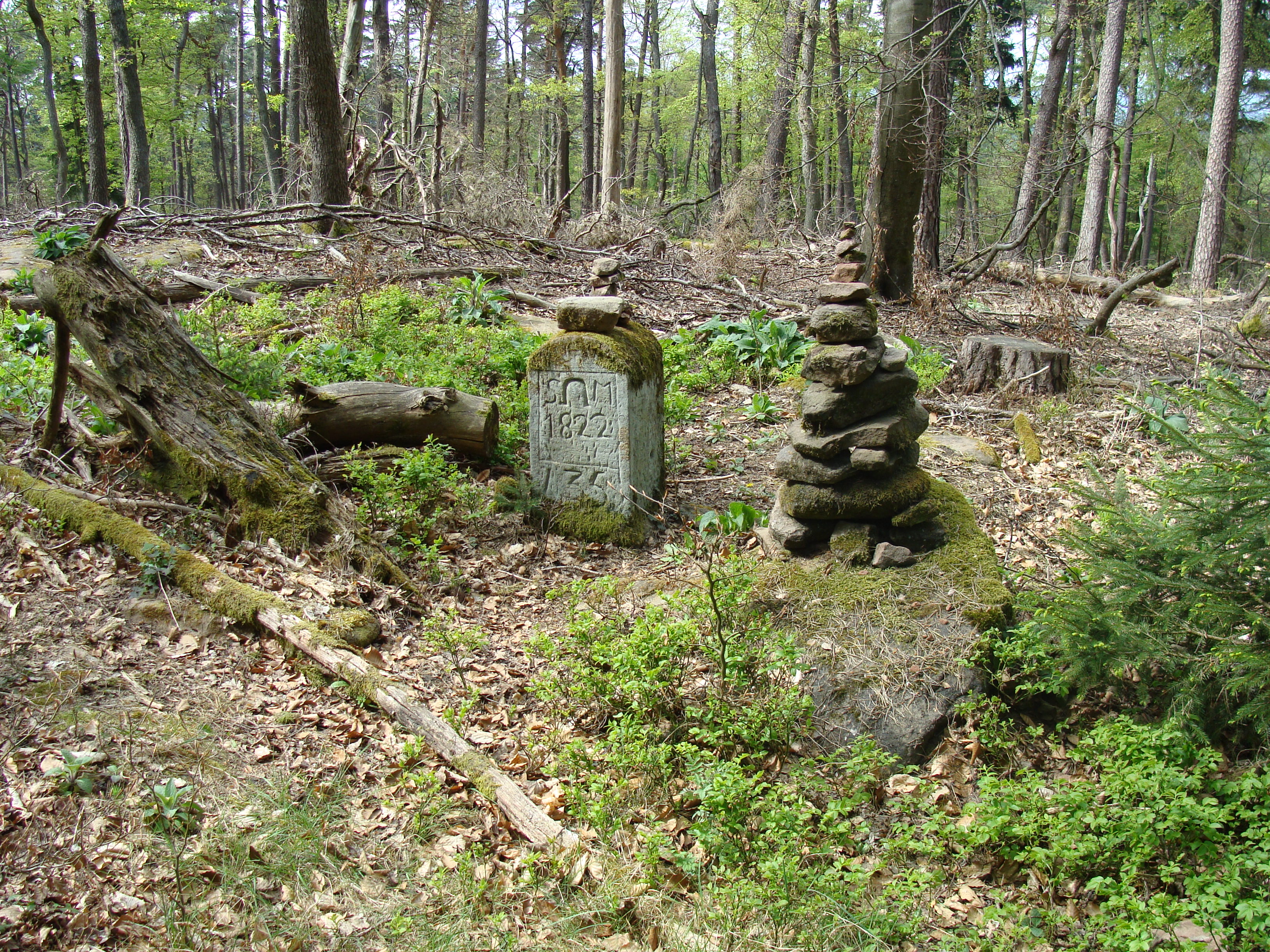 Schafkopf