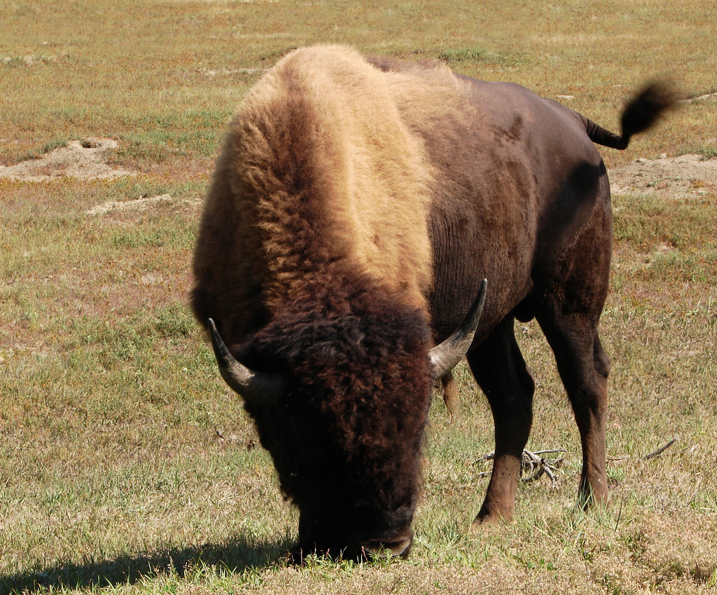 North Dakota, United States