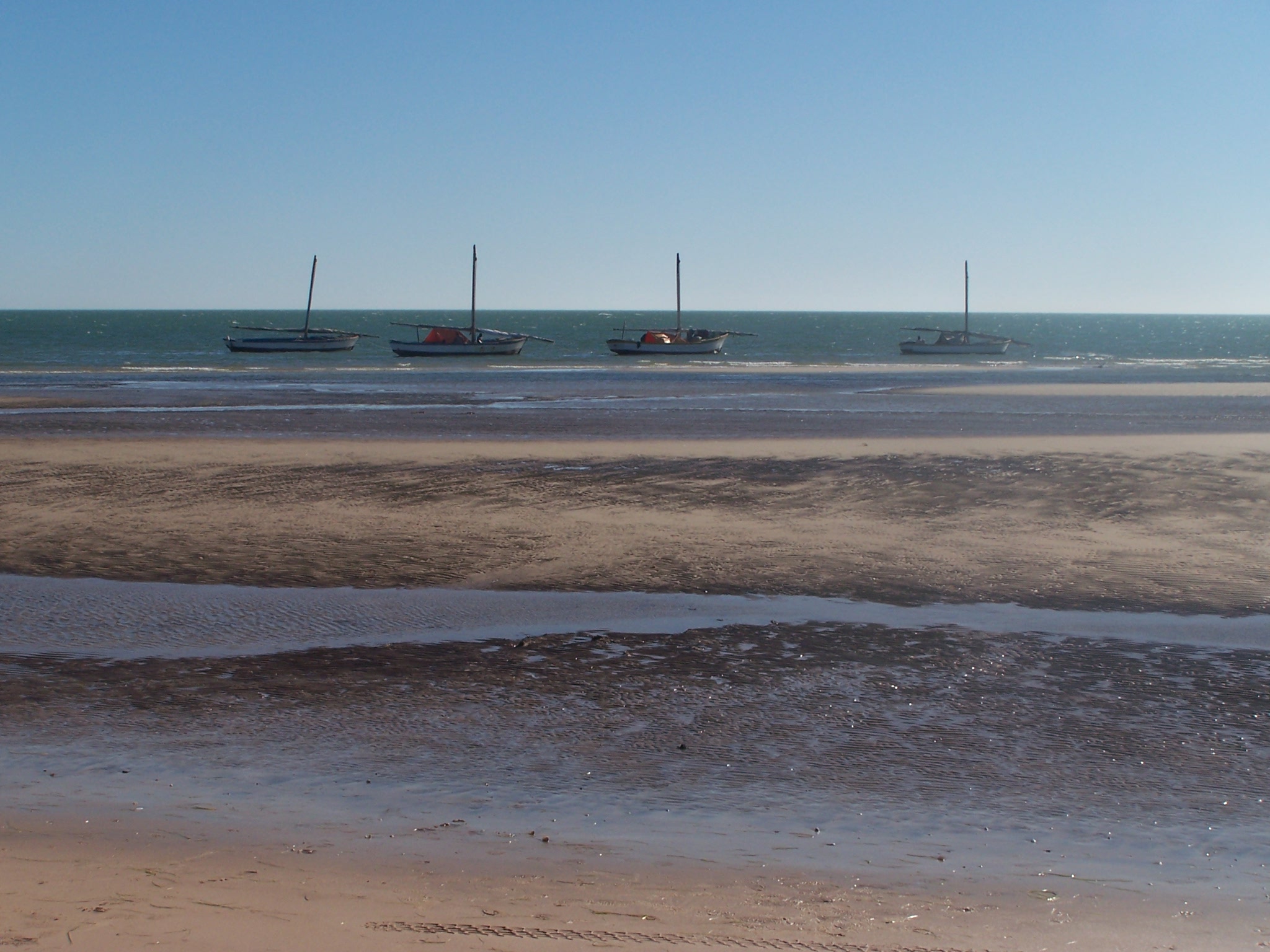 Banc d'Arguin National Park, Mauritania