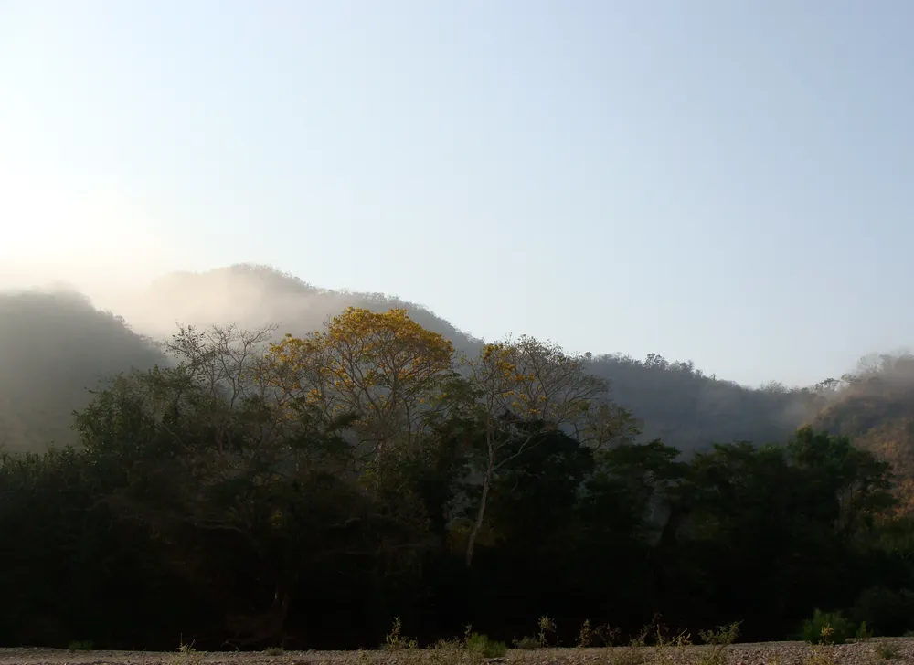 Chamela-Cuixmala Biosphere Reserve, Mexico