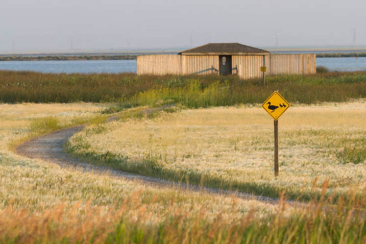 Frank Lake (Alberta)