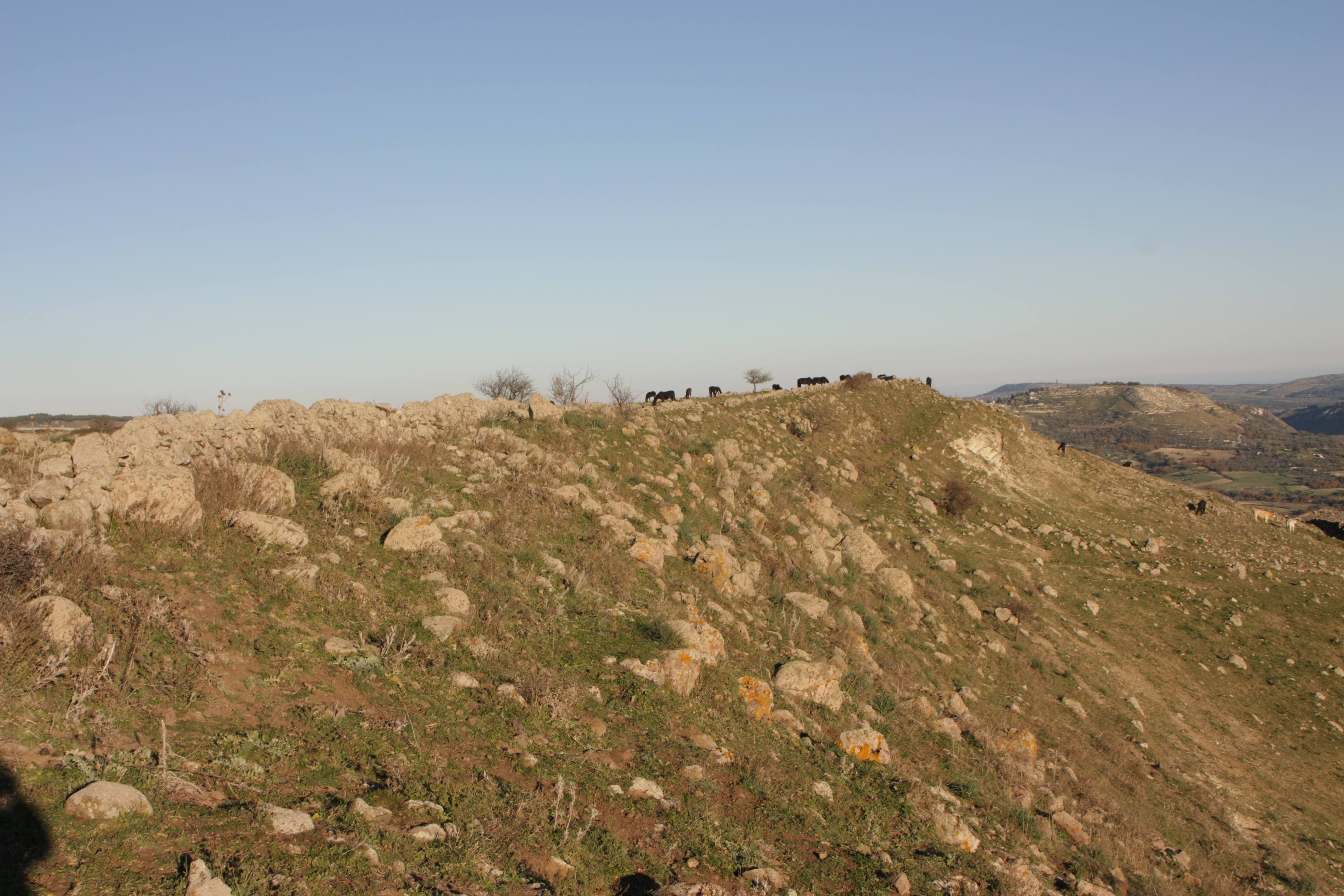 Monte Casale
