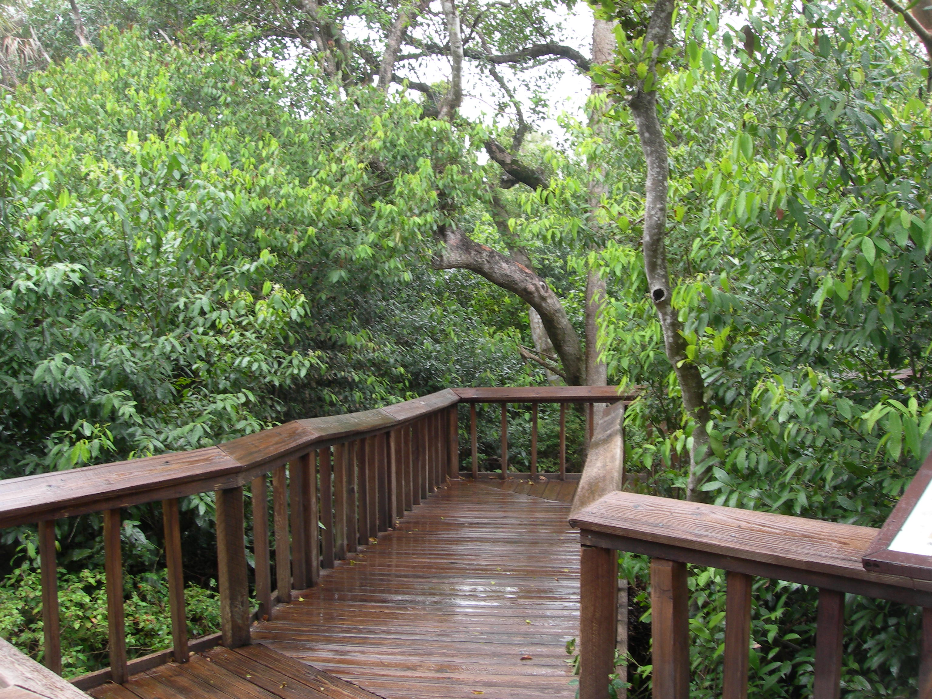 Gumbo Limbo Environmental Complex