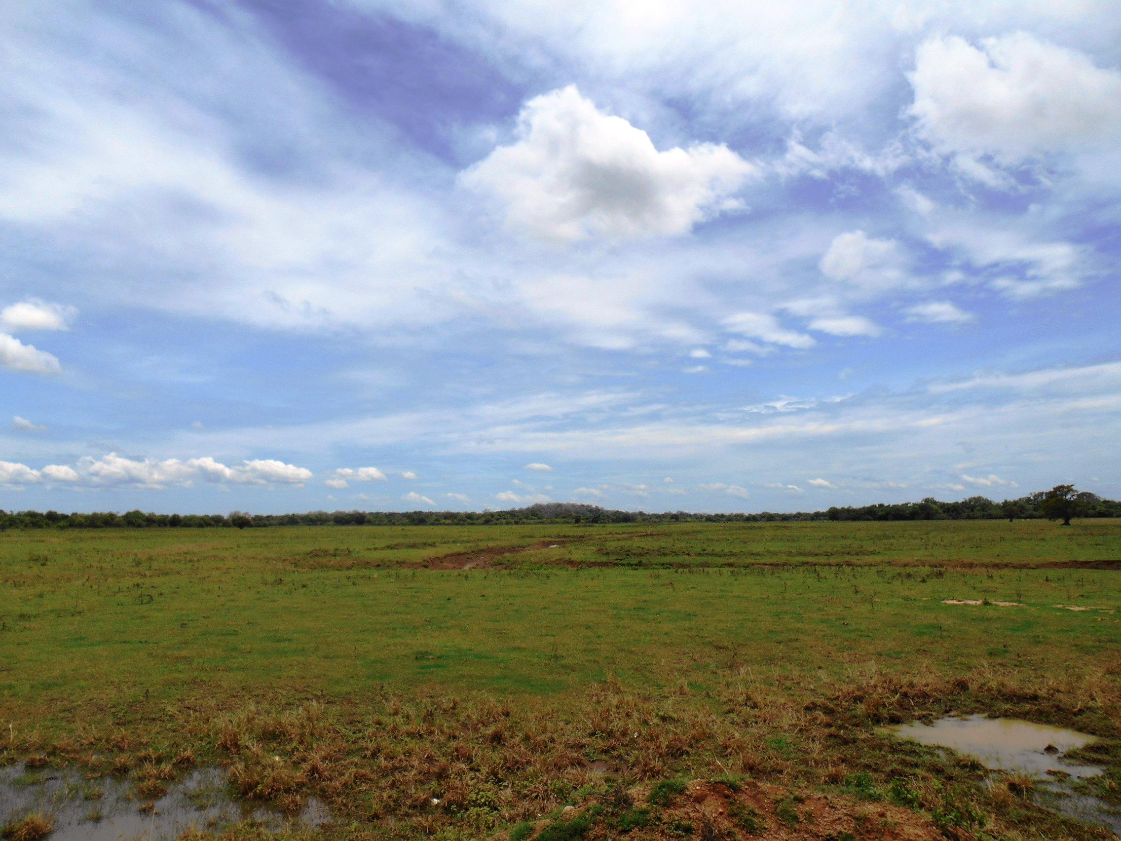 Somawathiya National Park