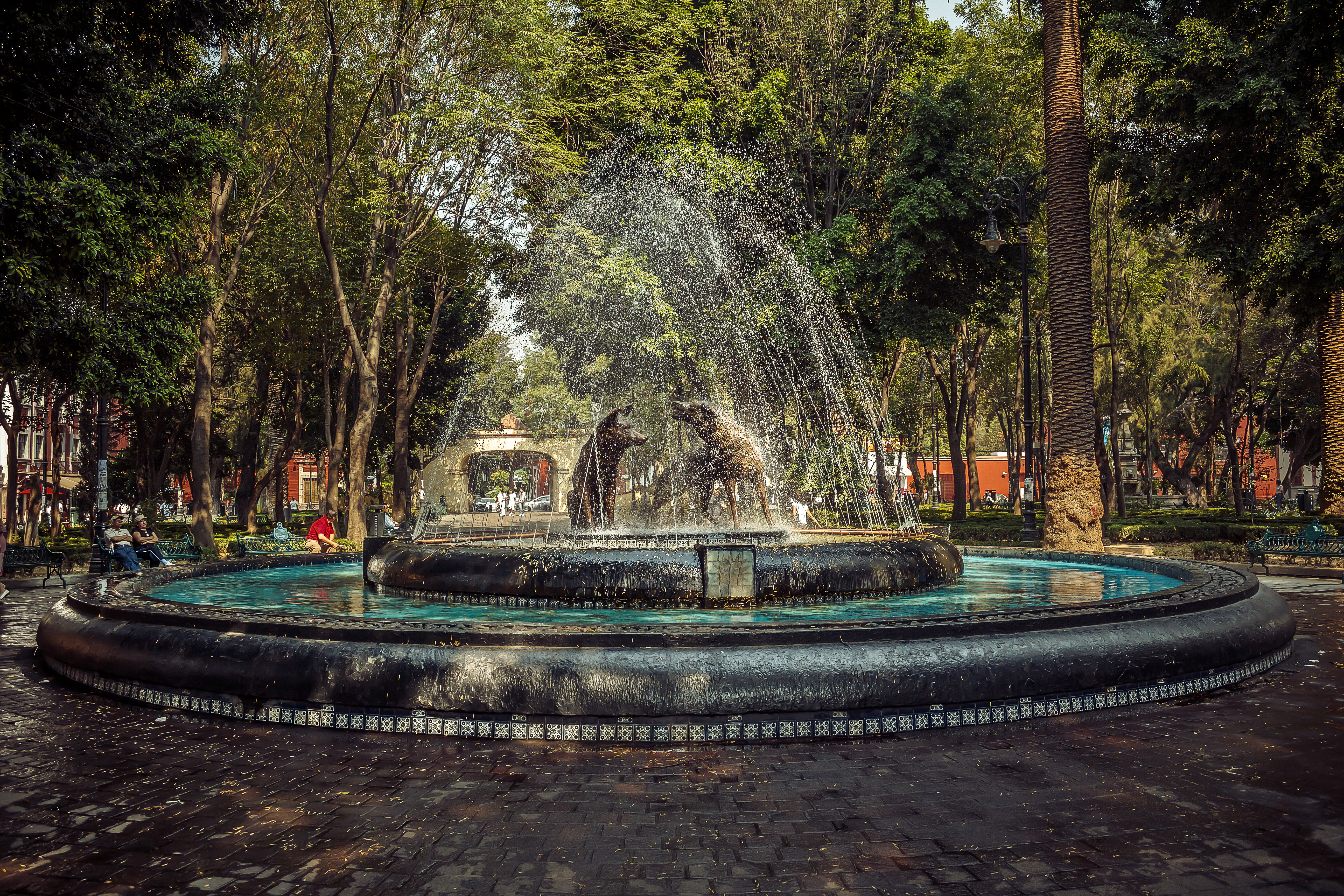 Coyoacán, Mexico
