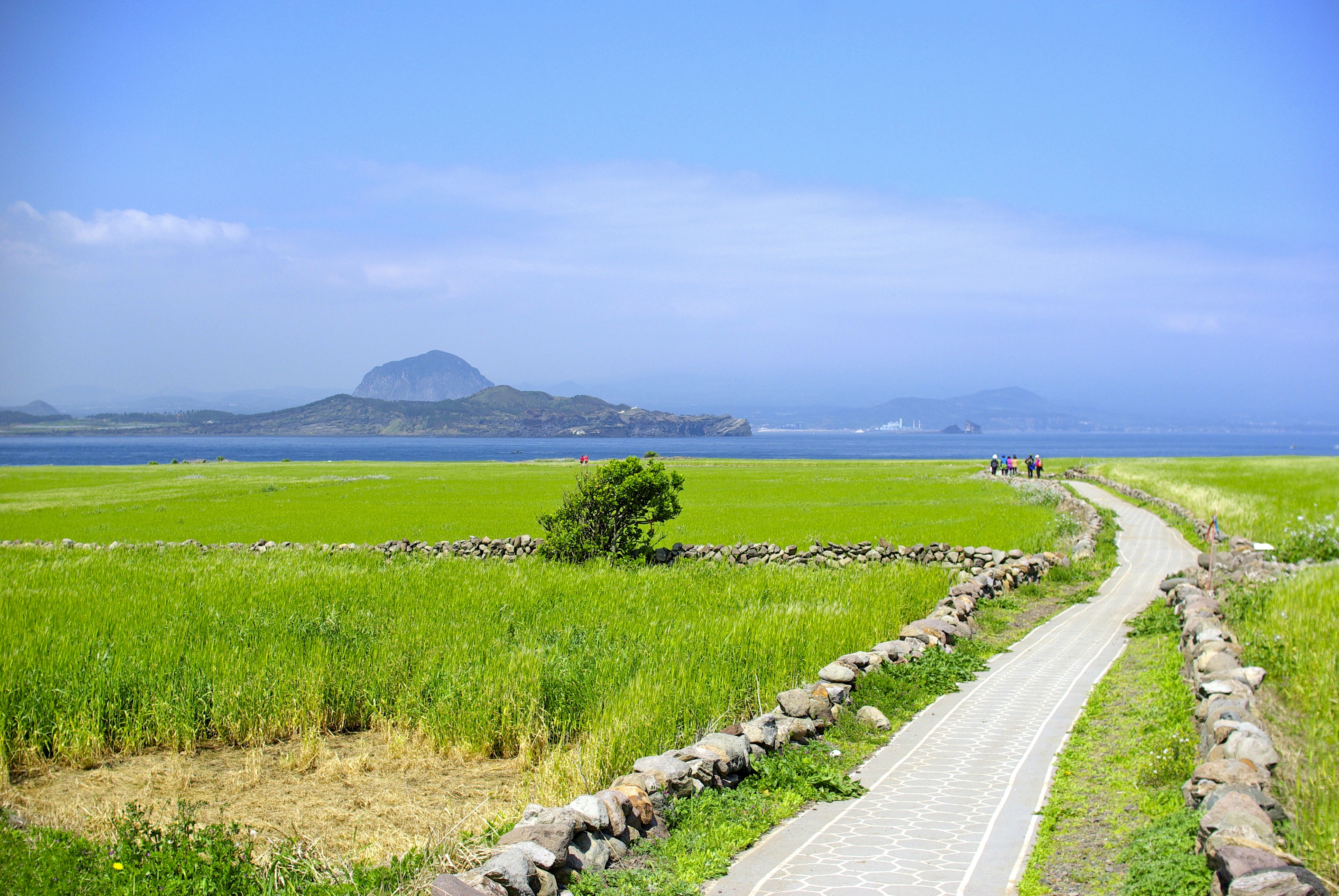 Gapado, South Korea