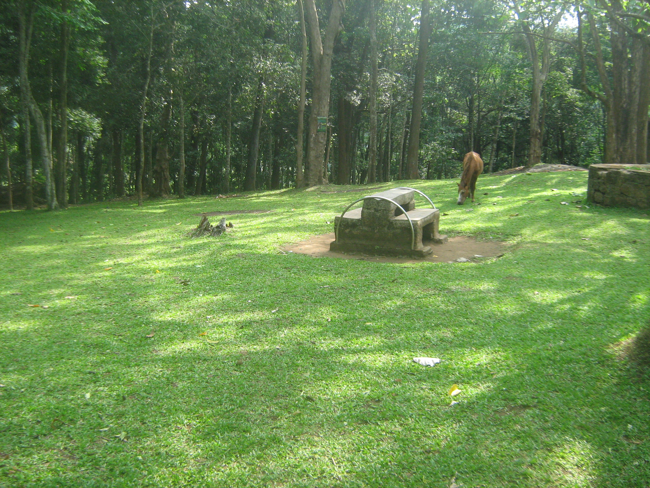 Thekkady, India
