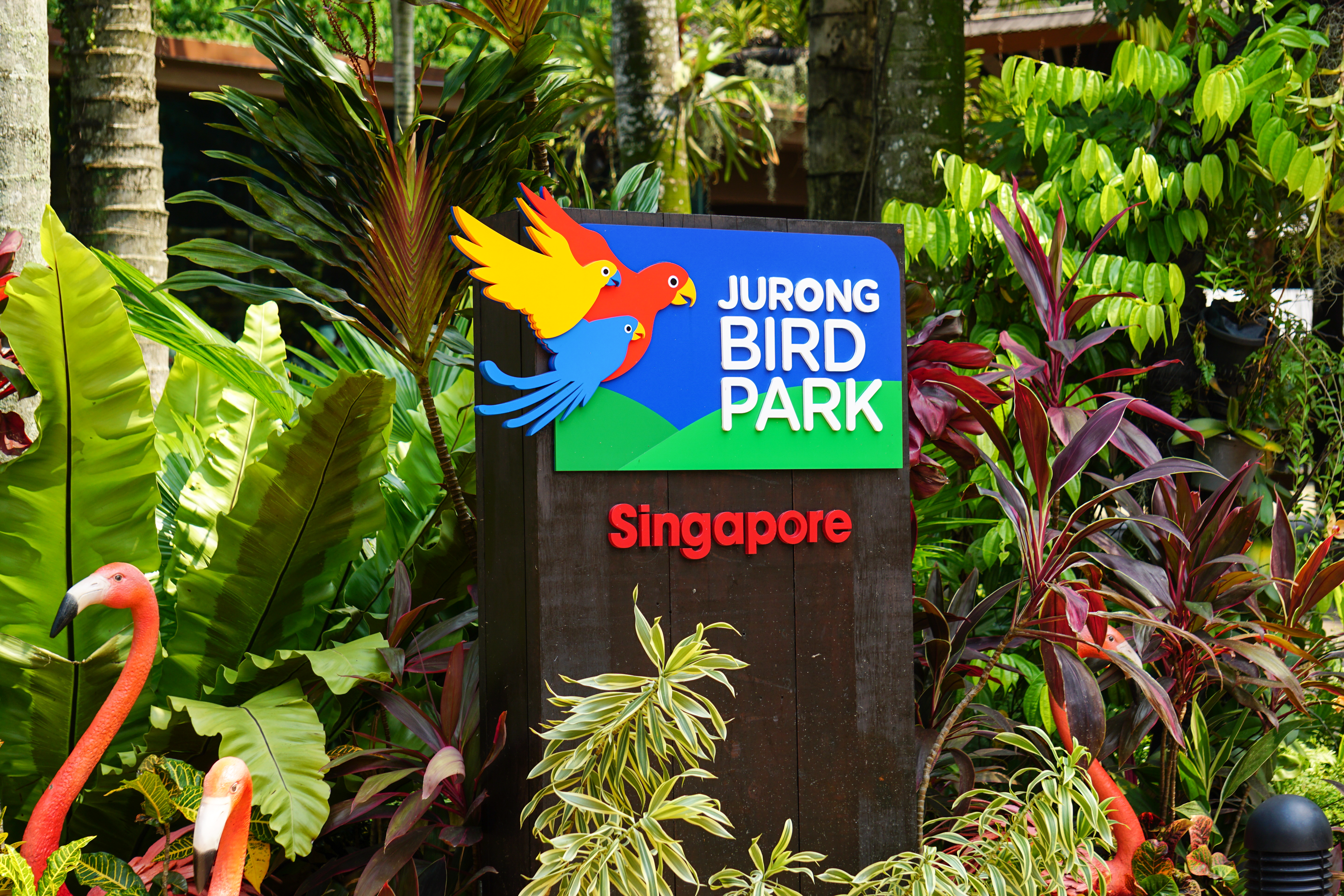 Jurong Falls