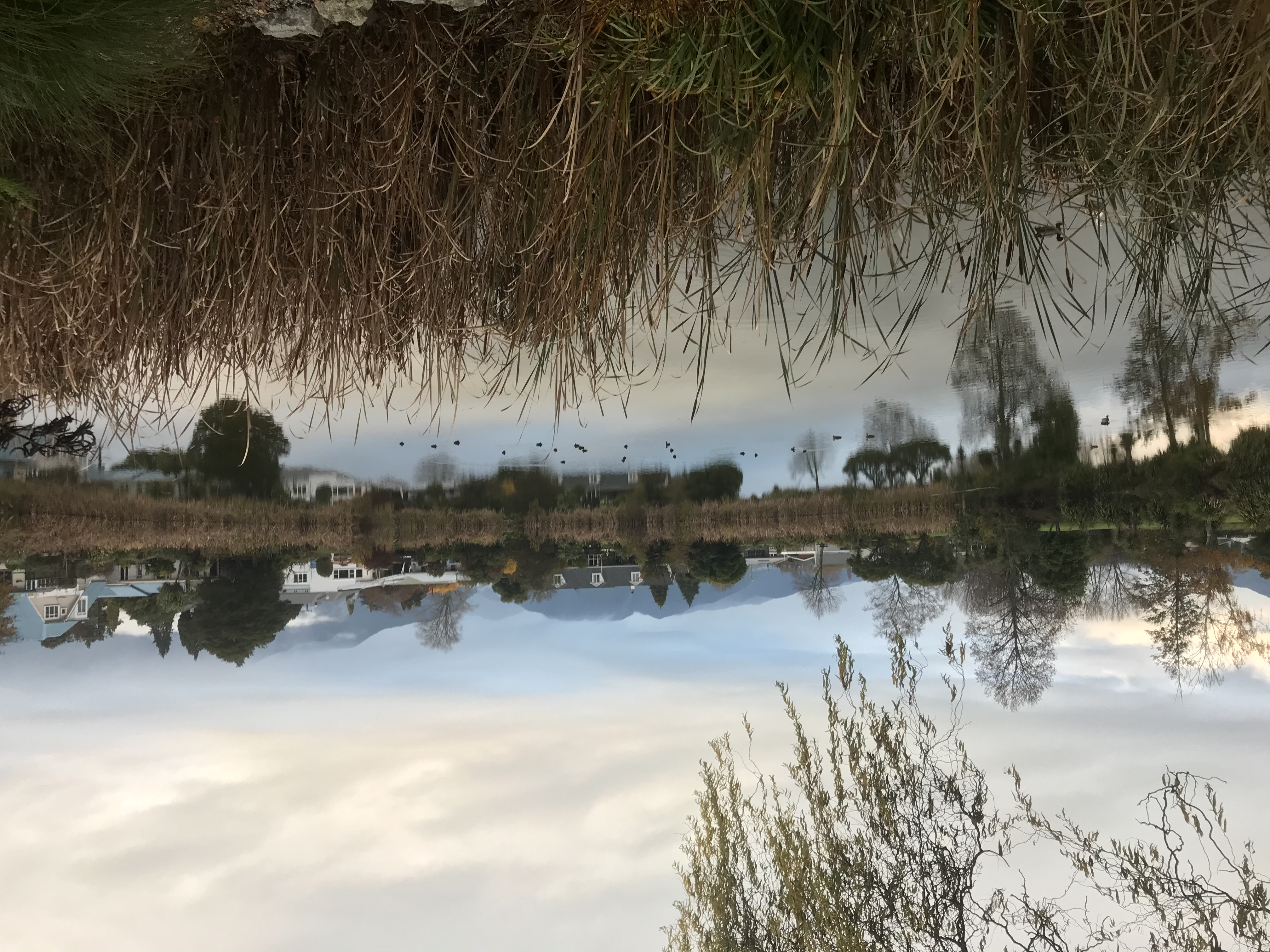 Lake Killarney