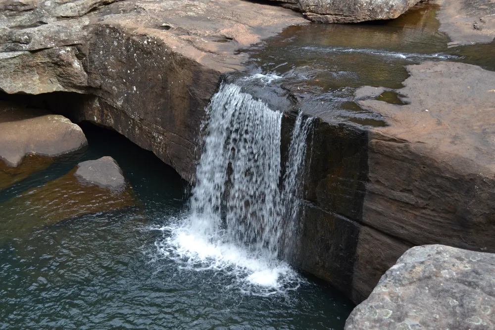 Dharawal National Park