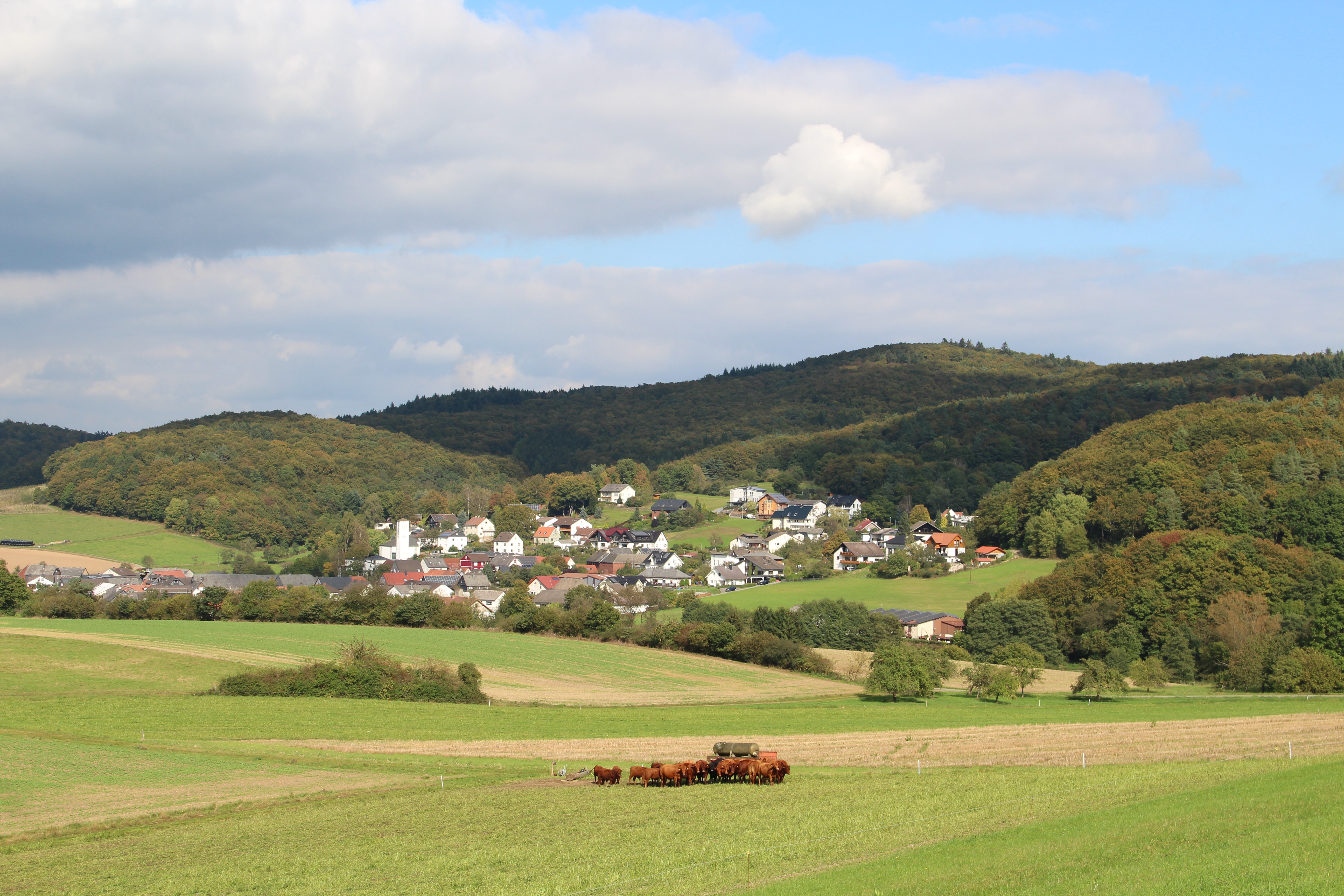 Schweinskopf