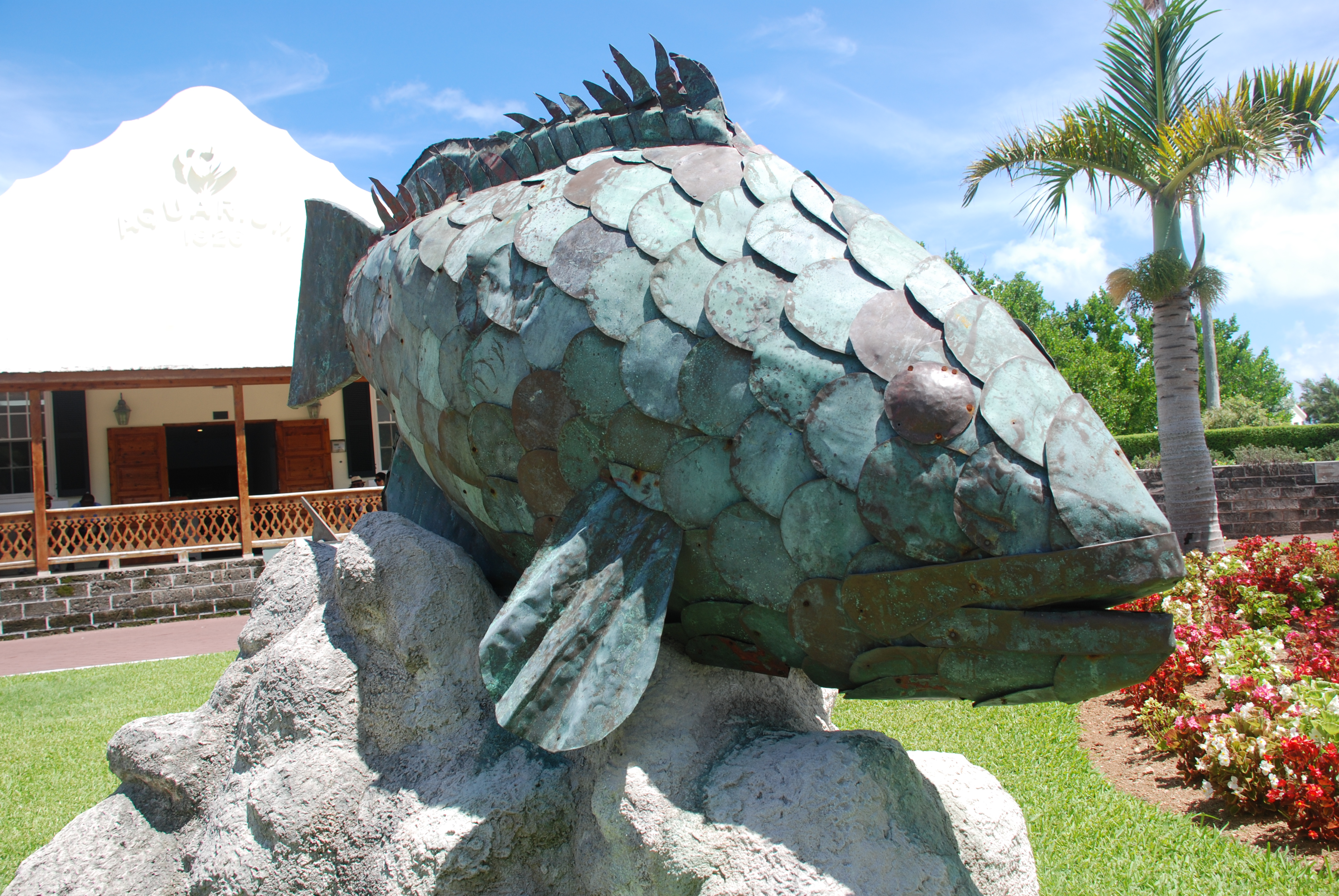 Bermuda Aquarium, Museum and Zoo