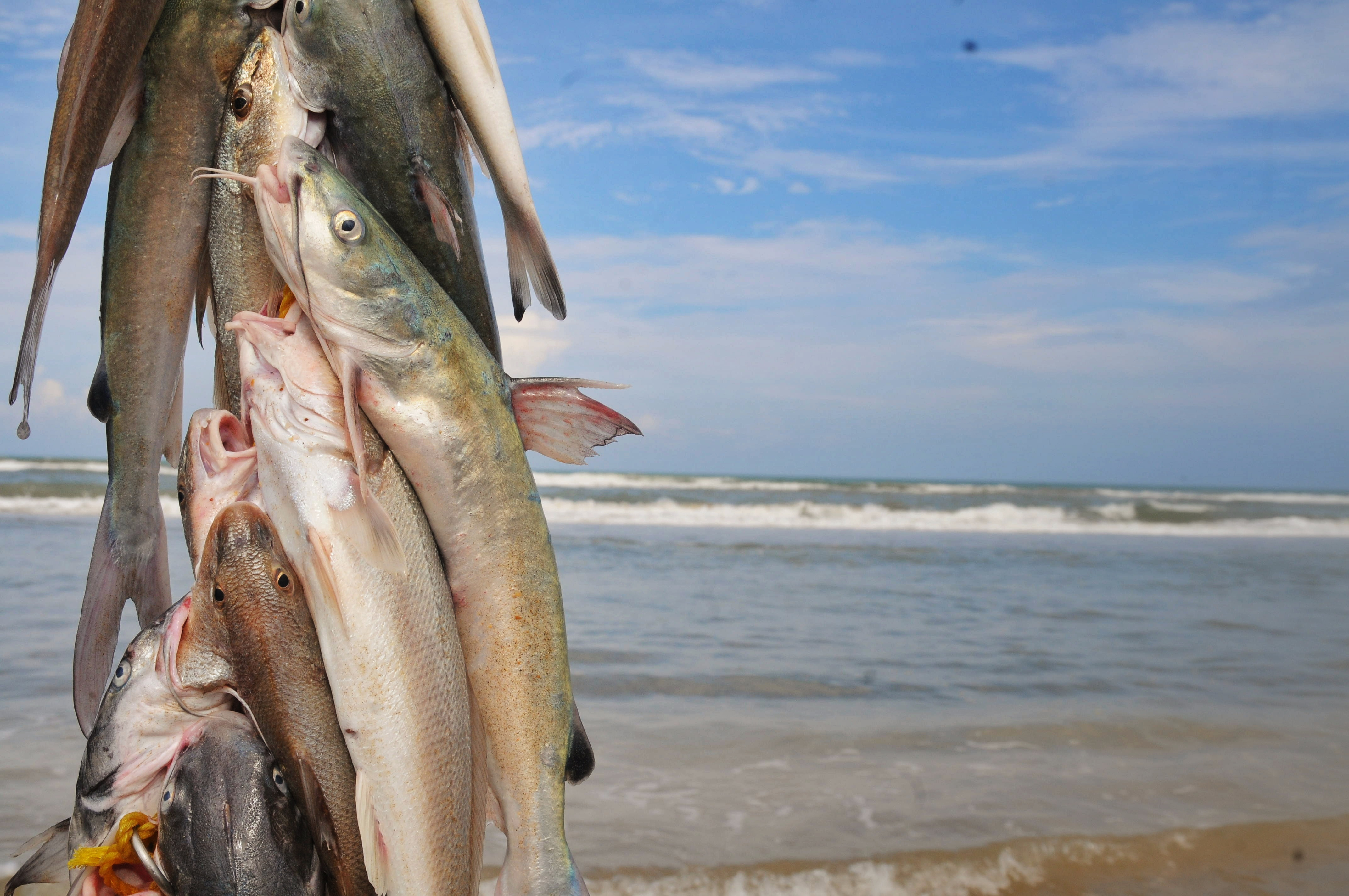 La Pesca, Mexico