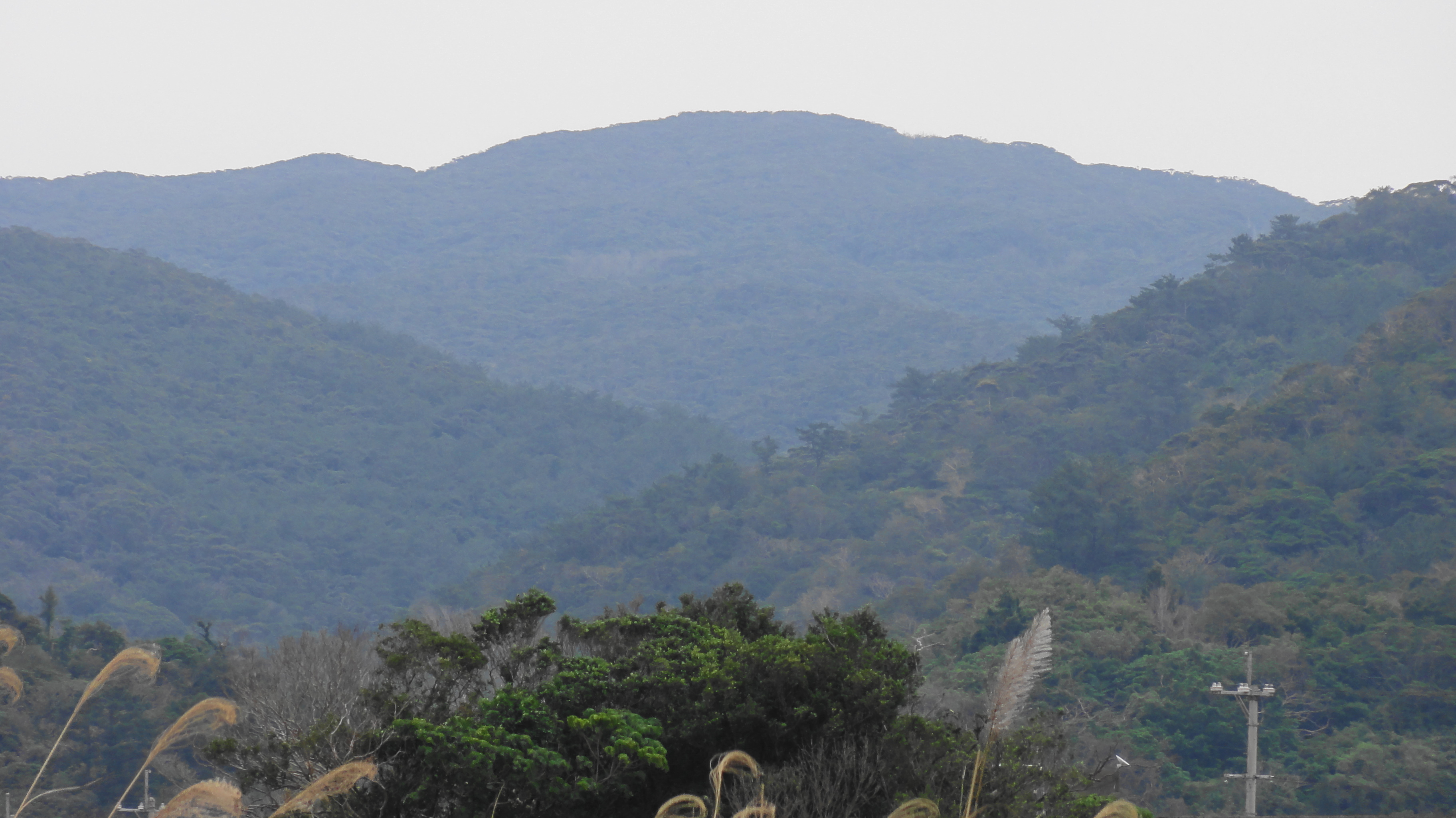 Mount Yonaha