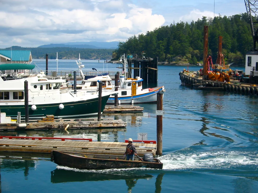 Friday Harbor, United States